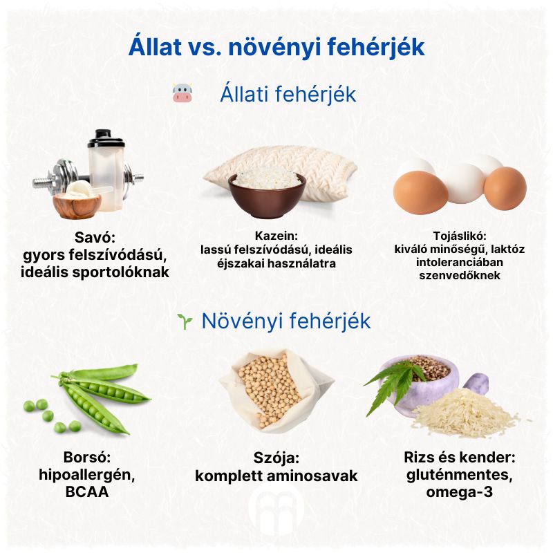 (Maďarština) Trend proteinových potravin Jak bílkoviny obohacují stravu